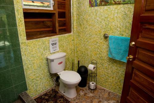 Hostal The Tree Of Life Guesthouse