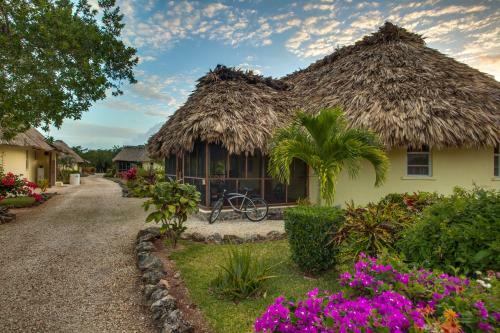 Hotel Orchid Bay Resort