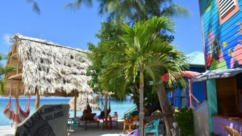 Hotel King Lewey's Island Resort