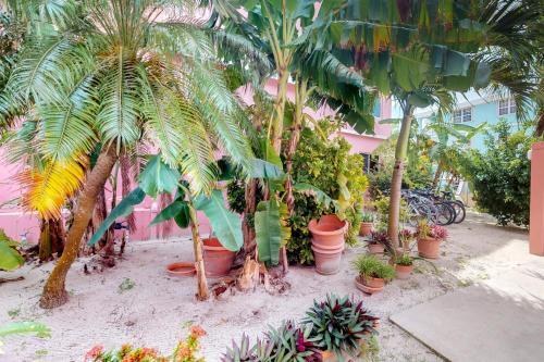 Apartamento Hibiscus @ Caribe Island