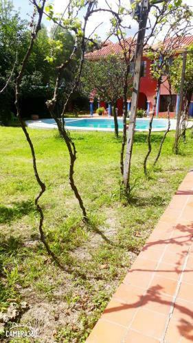 Hotel San Javier