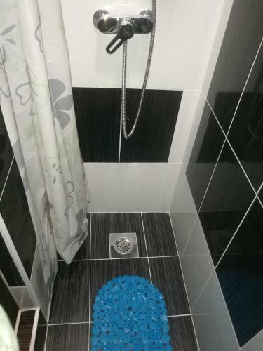 Hostal Guesthouse Vila Puzic