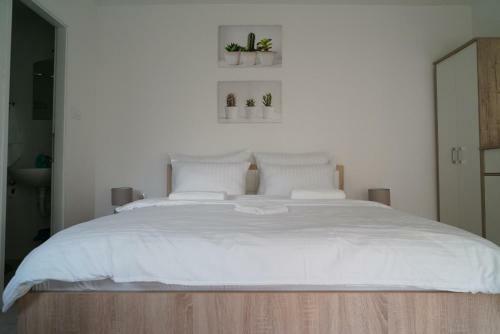 Rs Apartmani