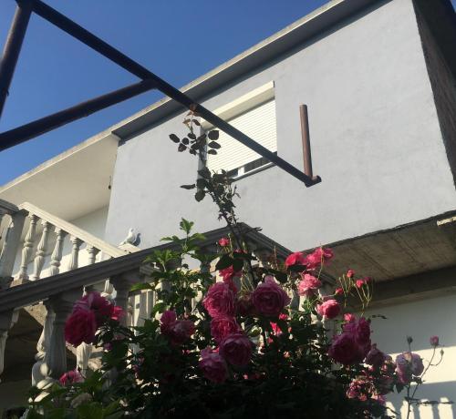 Albergue Guesthouse Red