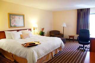 Hotel Hampton Inn Tampa-veterans Expressway/ Waters