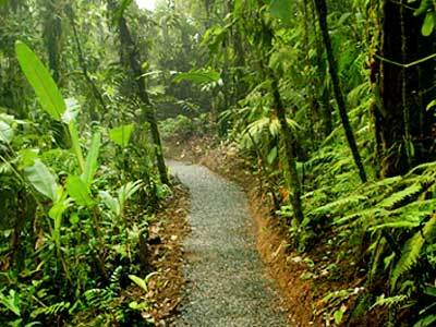 Villa Blanca Cloud Forest Hotel And Nature Reserve