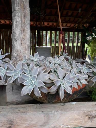 Chacara Bica D�gua