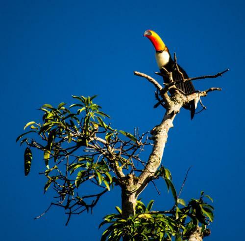 Jardim Secreto Hostel E Camping