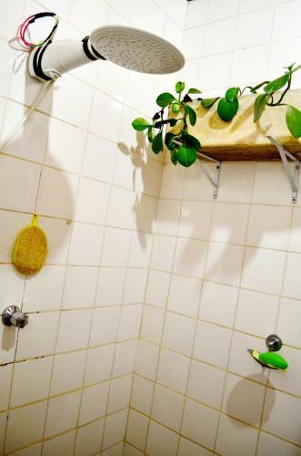 Jardim Secreto Hostel E Camping