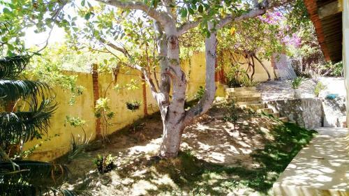 Casa De Praia Em Ponta De Pedras - Canto Alegre