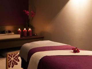 Hotel Novotel Fontainebleau Ury