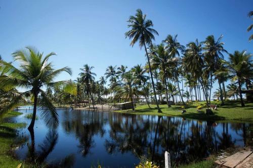 Casa De Praia Mico Le�o