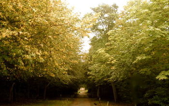 Hotel Carden Park