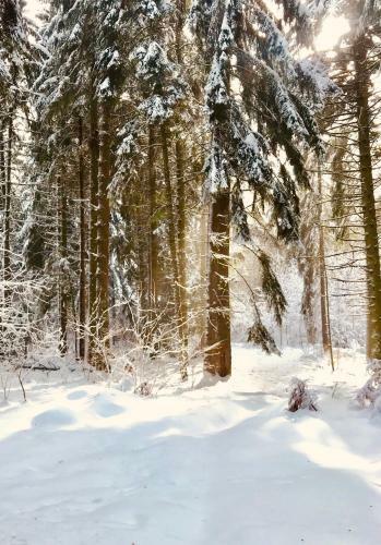 Villa Borovets Chalets