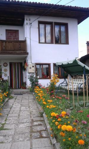 Hostal Cozy Home