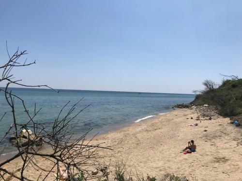 Pearl Beach Apartments In The Cliff Resort