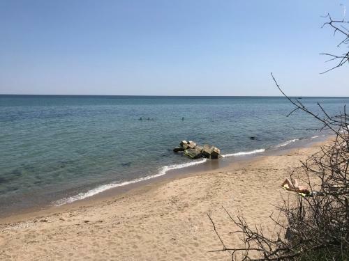 Pearl Beach Apartments In The Cliff Resort
