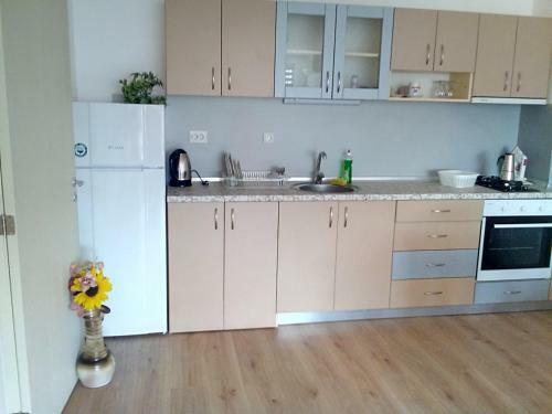 Apartment Biliana