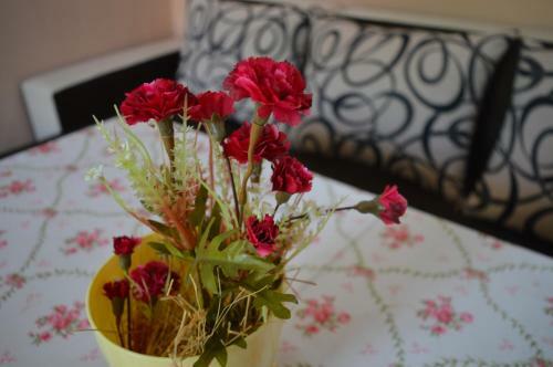 Hostal Guest House Vasilena