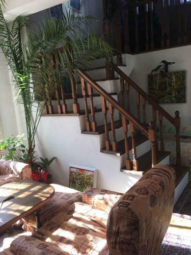 Hostal Art Studio