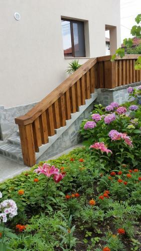 Hostal Villa Etno