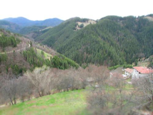 Hostal Kyshta Za Gosti Gaidary