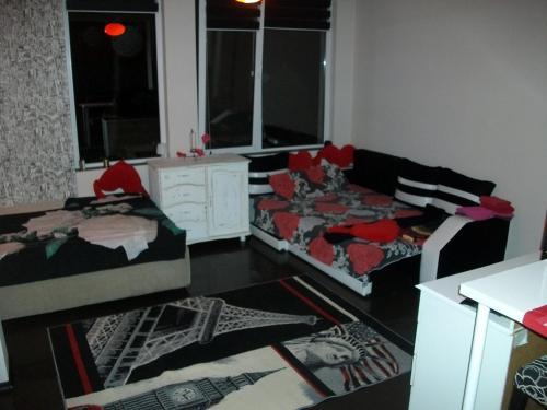 Black&red Apartment