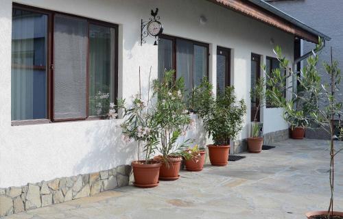 Hostal Guest House Dar