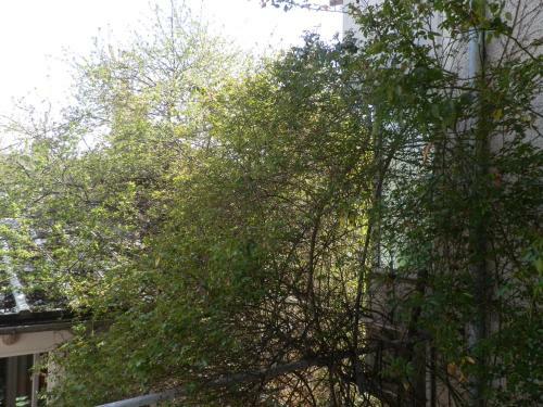 Apartamento Silver House