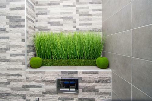 Apartamento Vista Suites