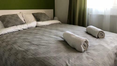 Hostal Terra Guest House