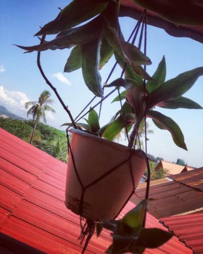 Hostal Stay In Kampot