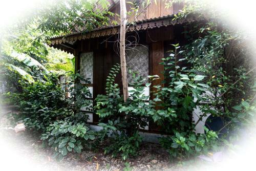 Lodge Blue Indigo Yoga Retreat