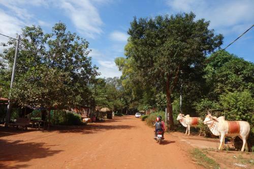 Agroturismo Yanick's Angkor Cottage