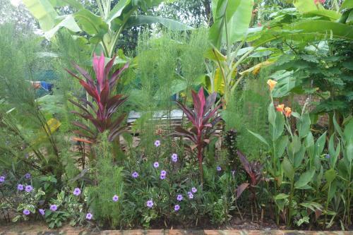 Agroturismo Yanick's Angkor Cottage