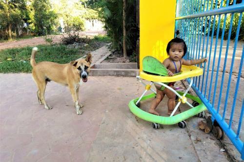 Rumi Camping & Yoga & Home Stay
