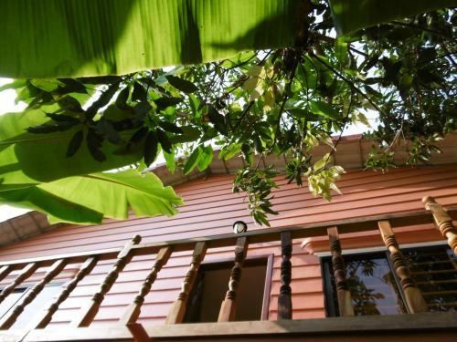 Andre Boutique Villa