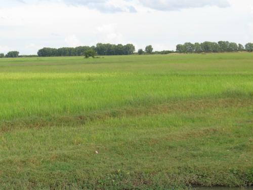 The Siem Reap Countryside Homestay