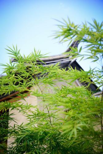 Dali Songhe High-end Vacation Guest House