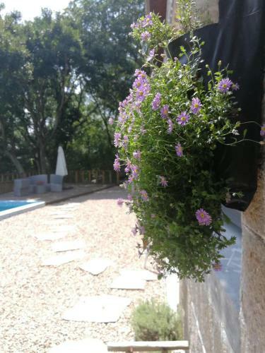 Hostal Baidie Xiyu Maimai Yard Guest House