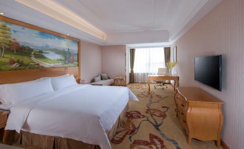 Vienna Hotel Wuhan Panlong City