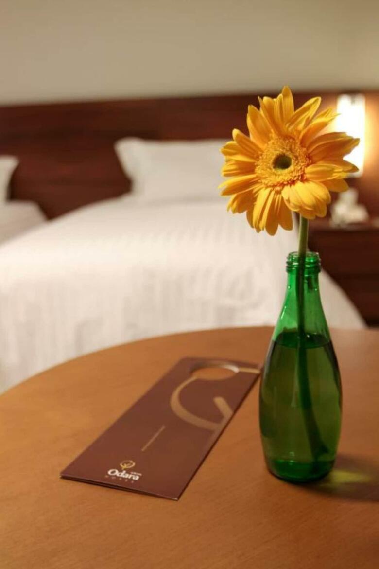 Hotel Gran Odara