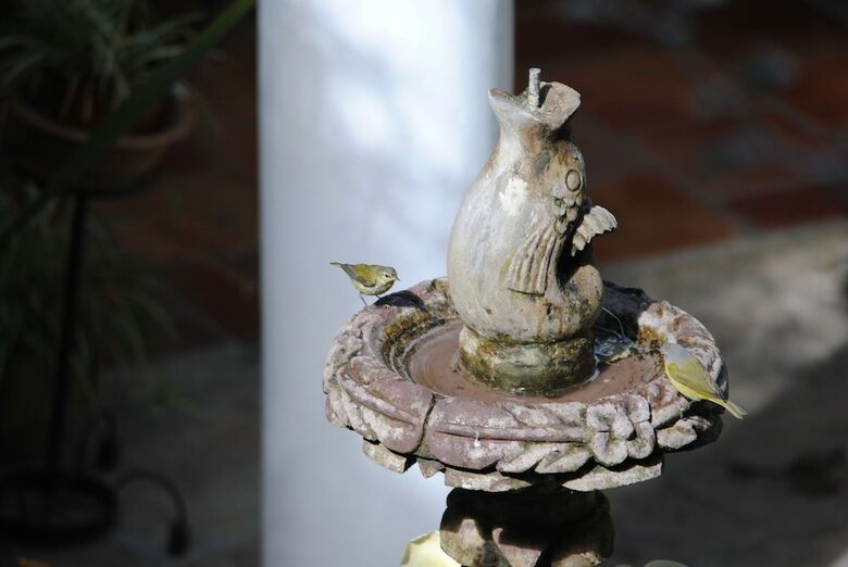 Hotel Posada Jovel