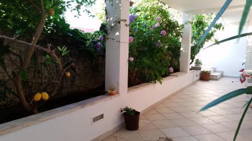 Hostal Double Room Dubrovnik 11207a