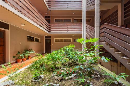 Apartment Vinea