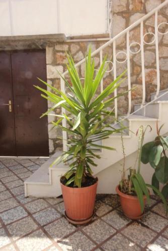 Hostal Double Room Dubrovnik 2148a