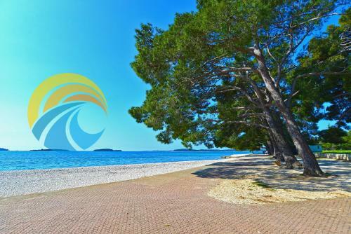 Hostal Apartments Marko 1265