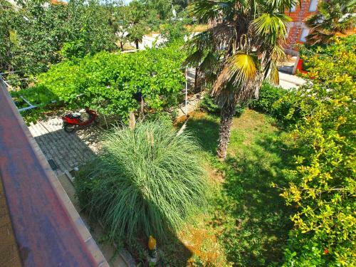 Apartment Branko 1142