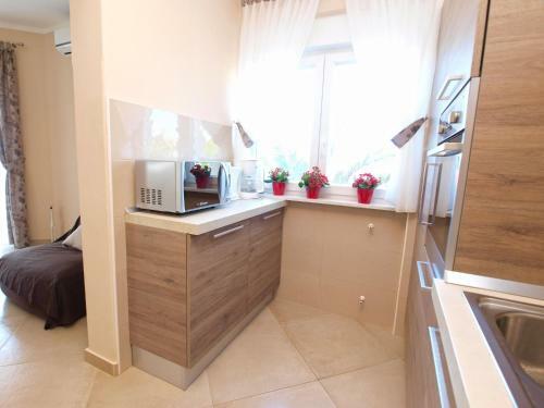 Apartment Roberto 1386