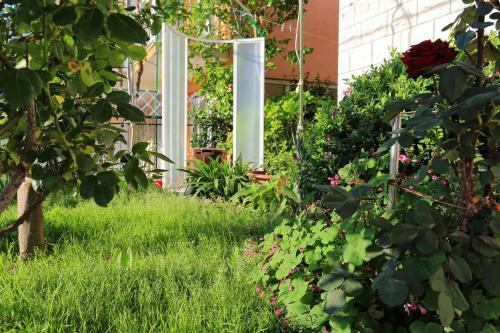 Apartments With A Parking Space Gradac (makarska) - 6825